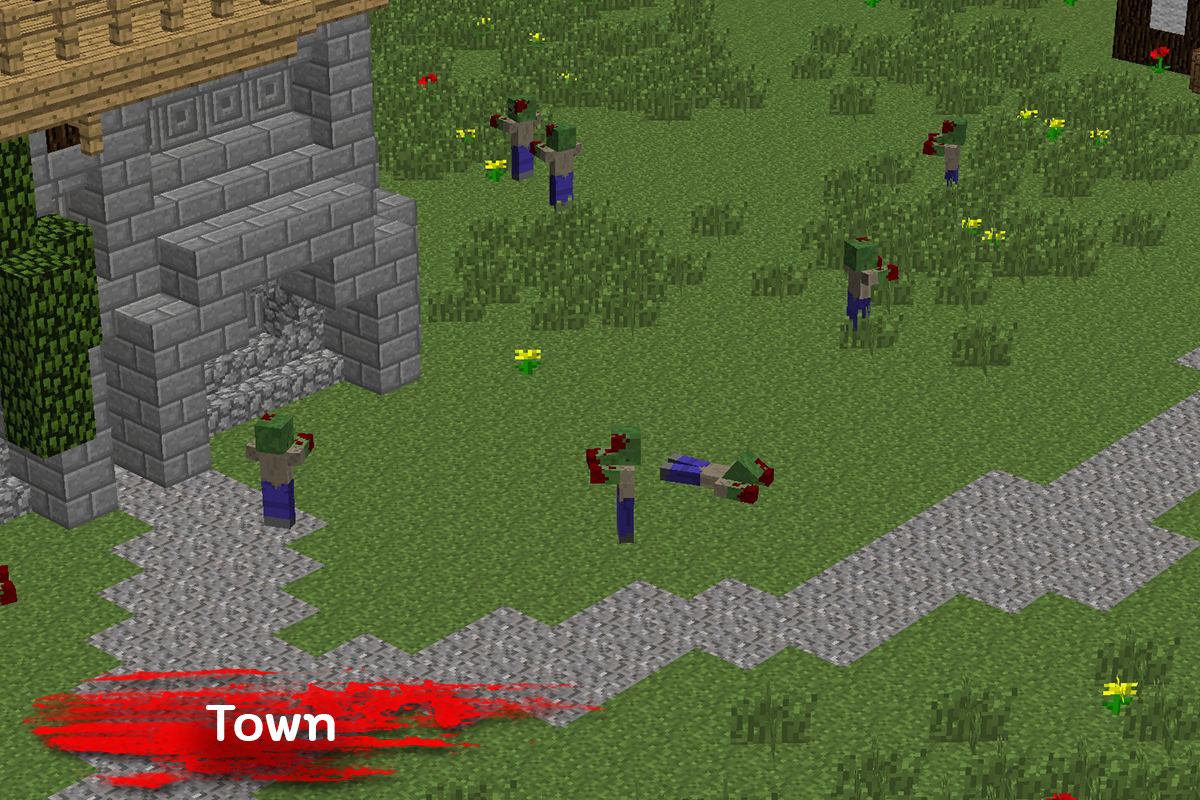 10 Town2 Server Standard Photo 1200x800 px.jpg