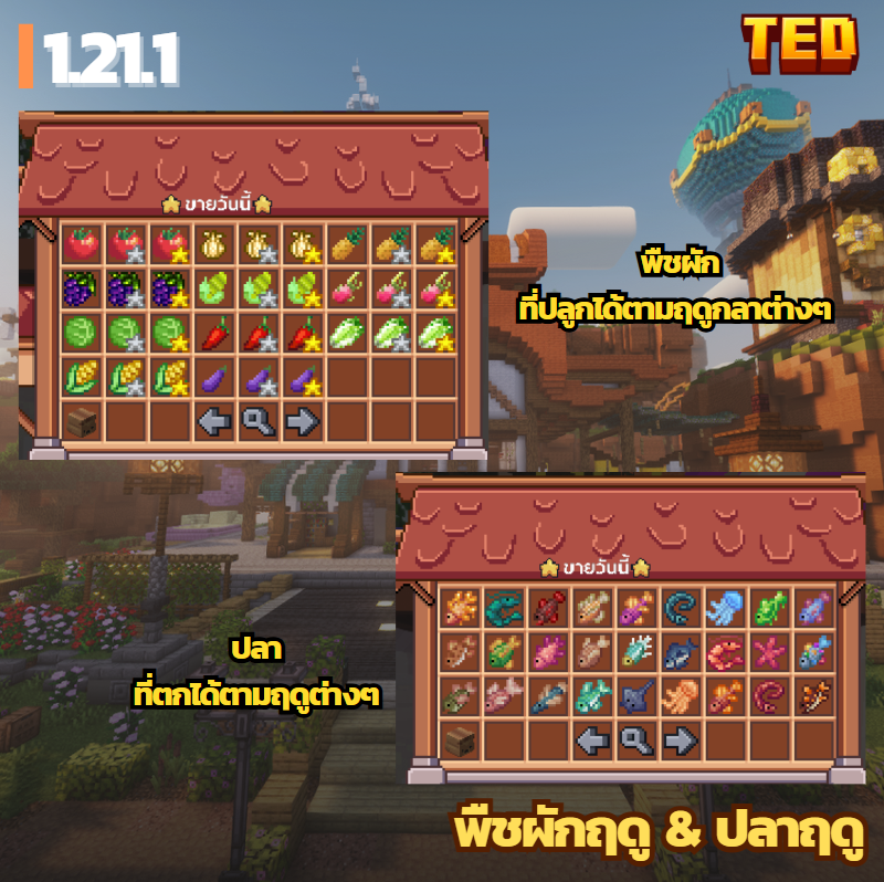 16.png