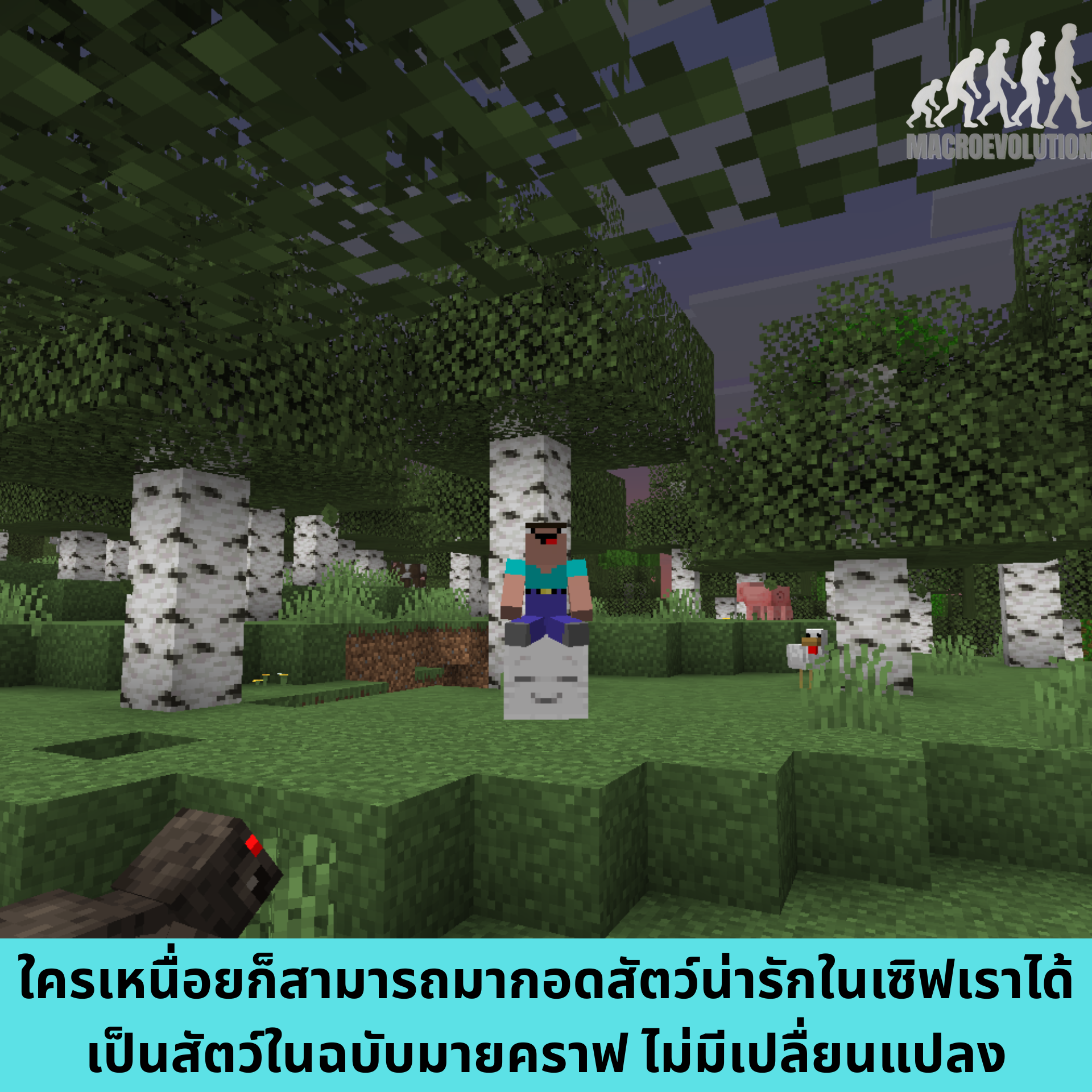 1750572108378.png