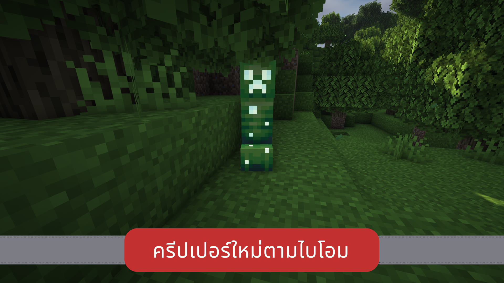 19.png