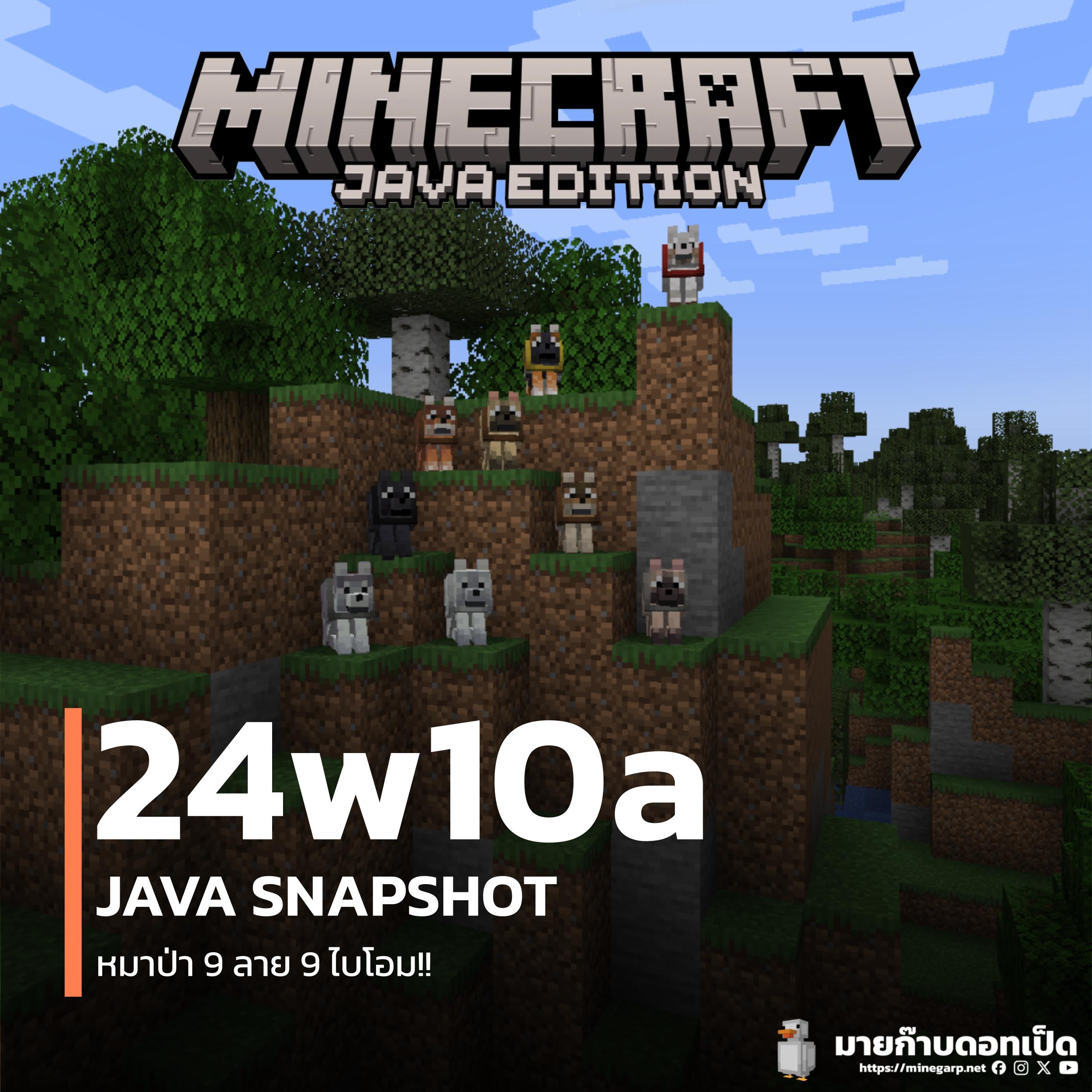 24w10a.jpg