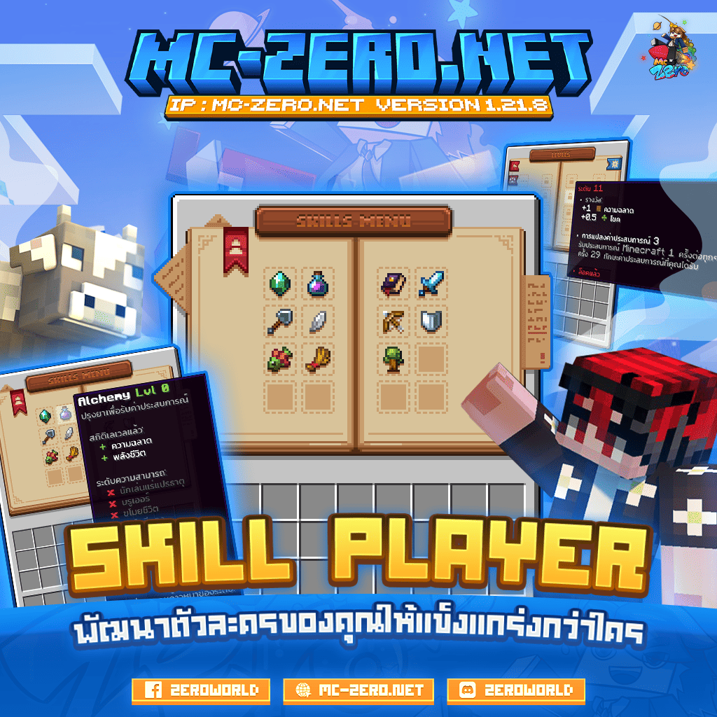 4_skilplayer.png