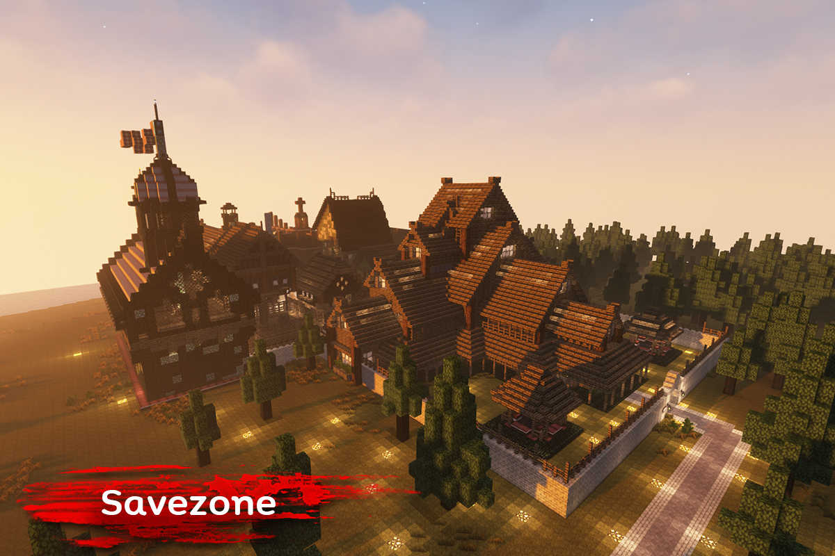 8 Savezone2 Server Standard Photo 1200x800 px.jpg