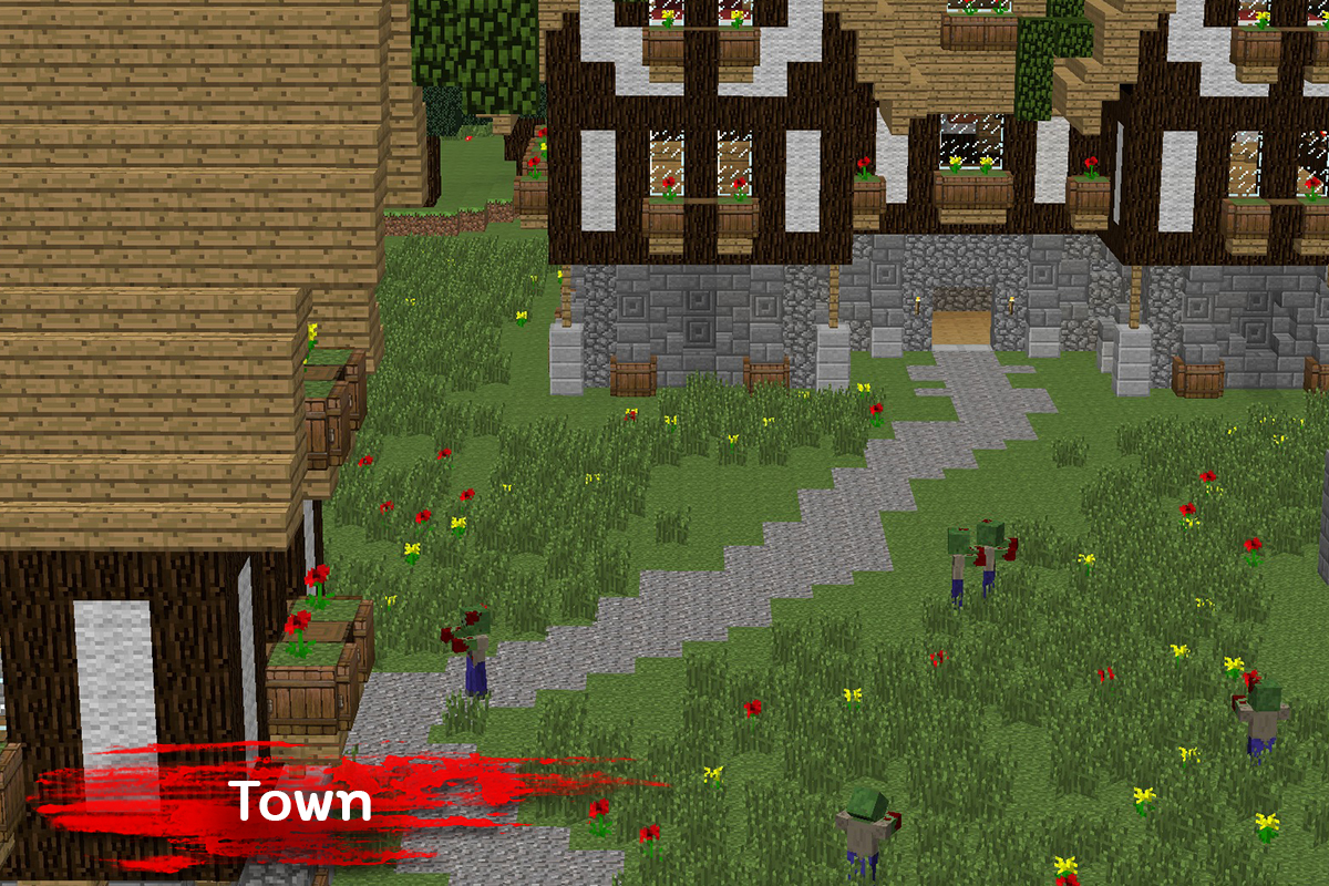 9 Town1 Server Standard Photo 1200x800 px.jpg