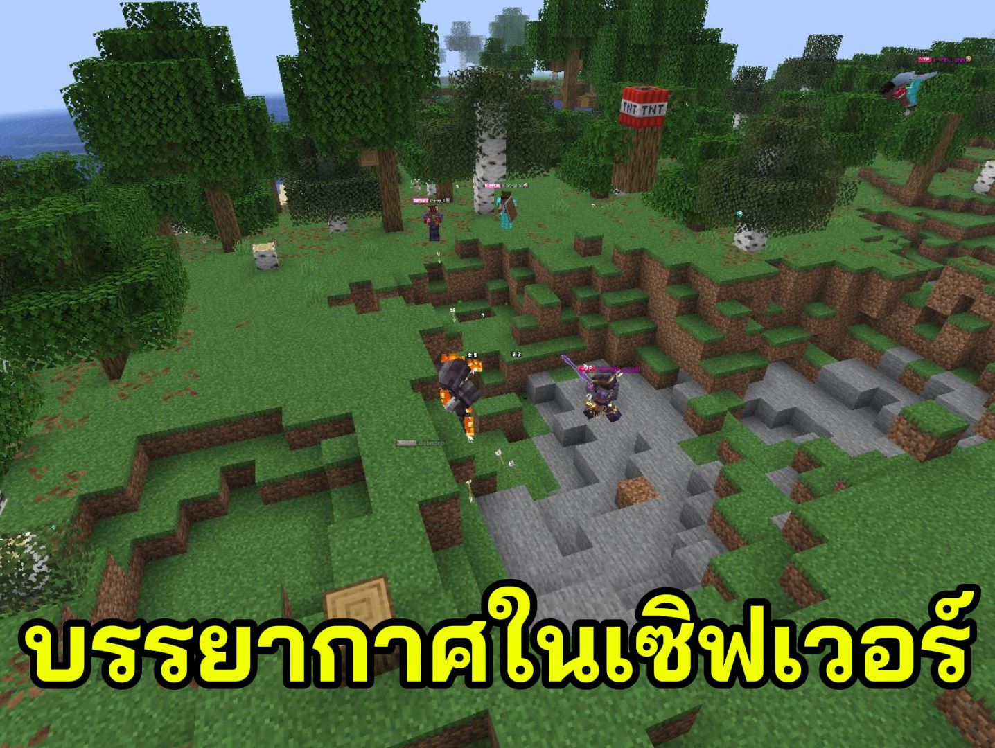 Capture1.JPG