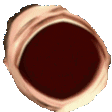 giphy.gif