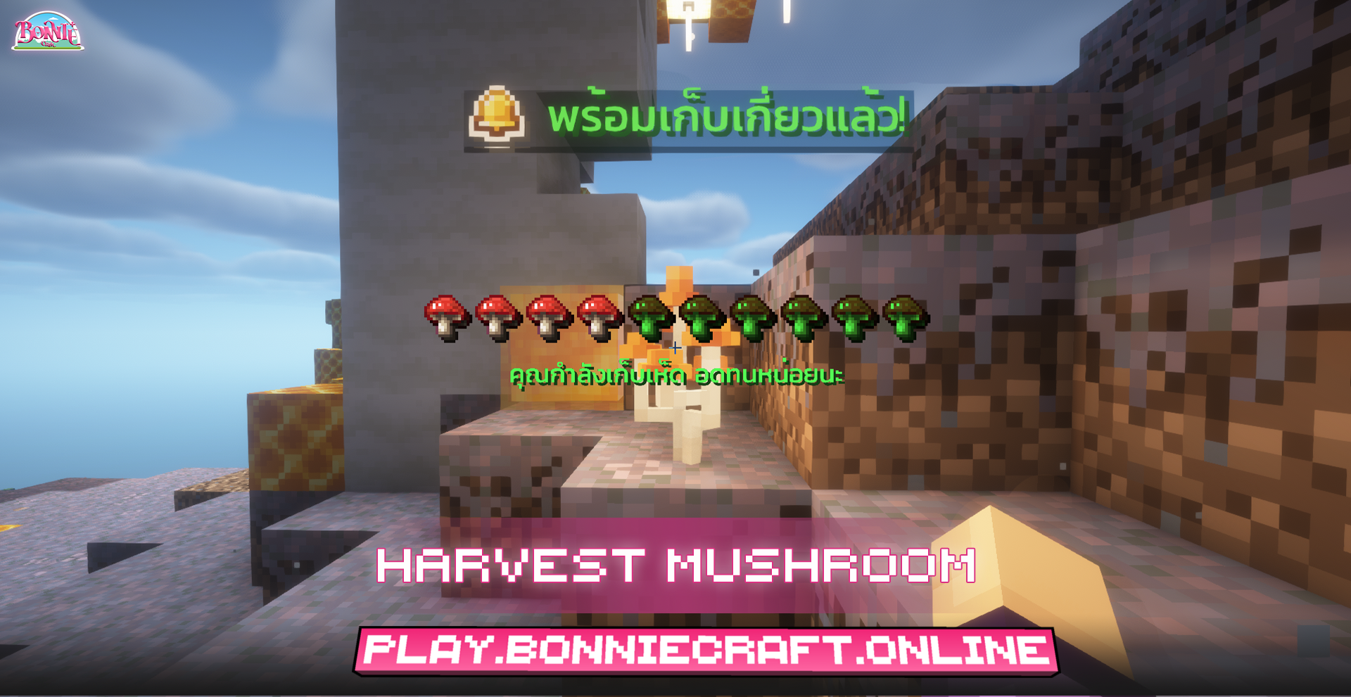 harvest.png