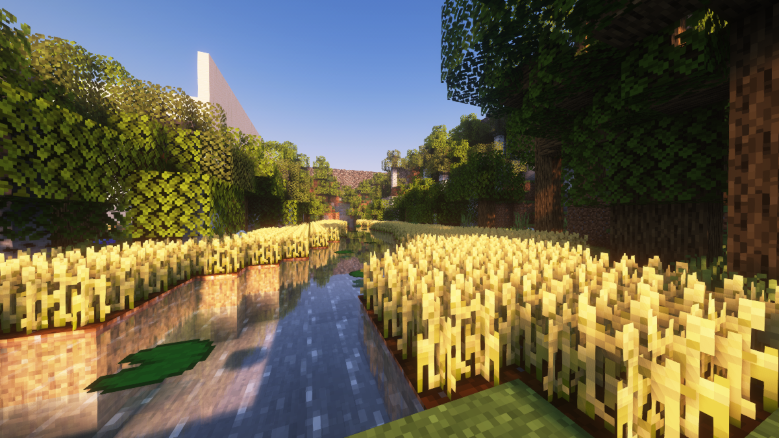 image-5.png