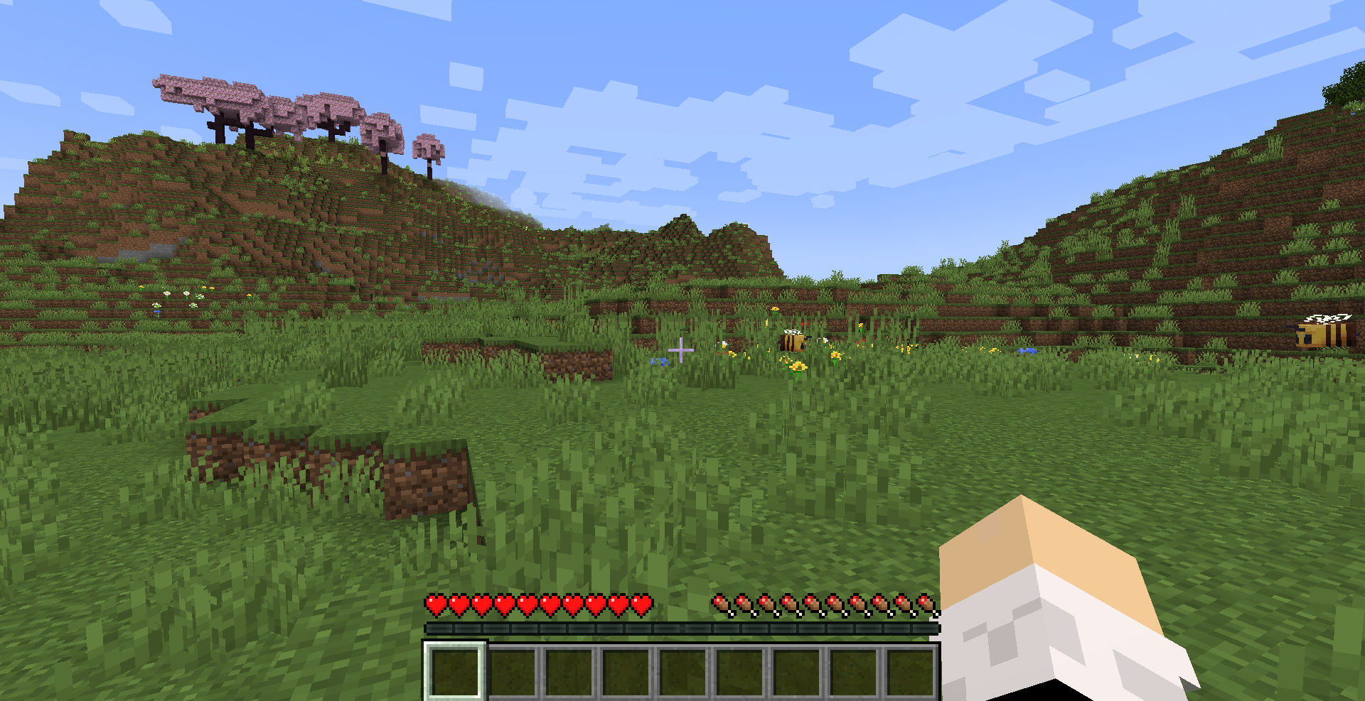 minecraft.png