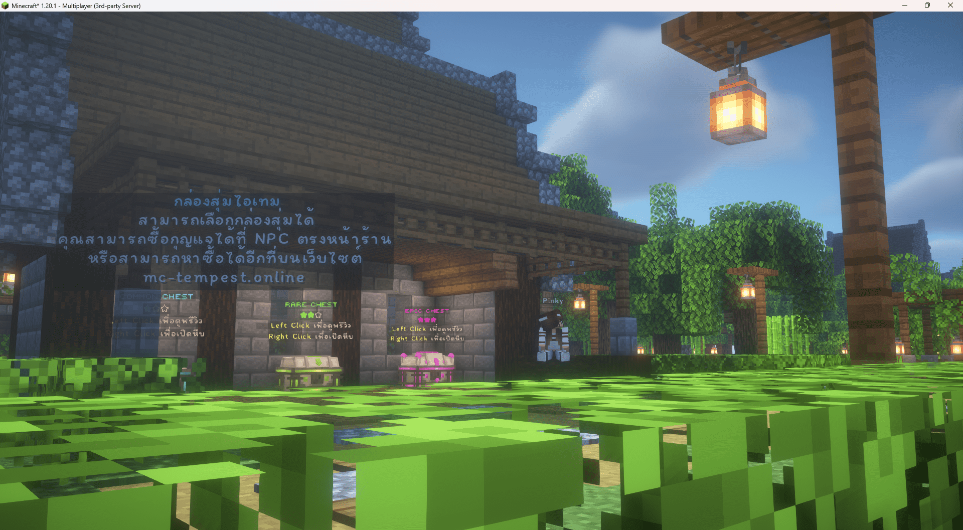 Minecraft__1.20.1_-_Multiplayer_3rd-party_Server_3_8_2024_10_17_03_PM.png
