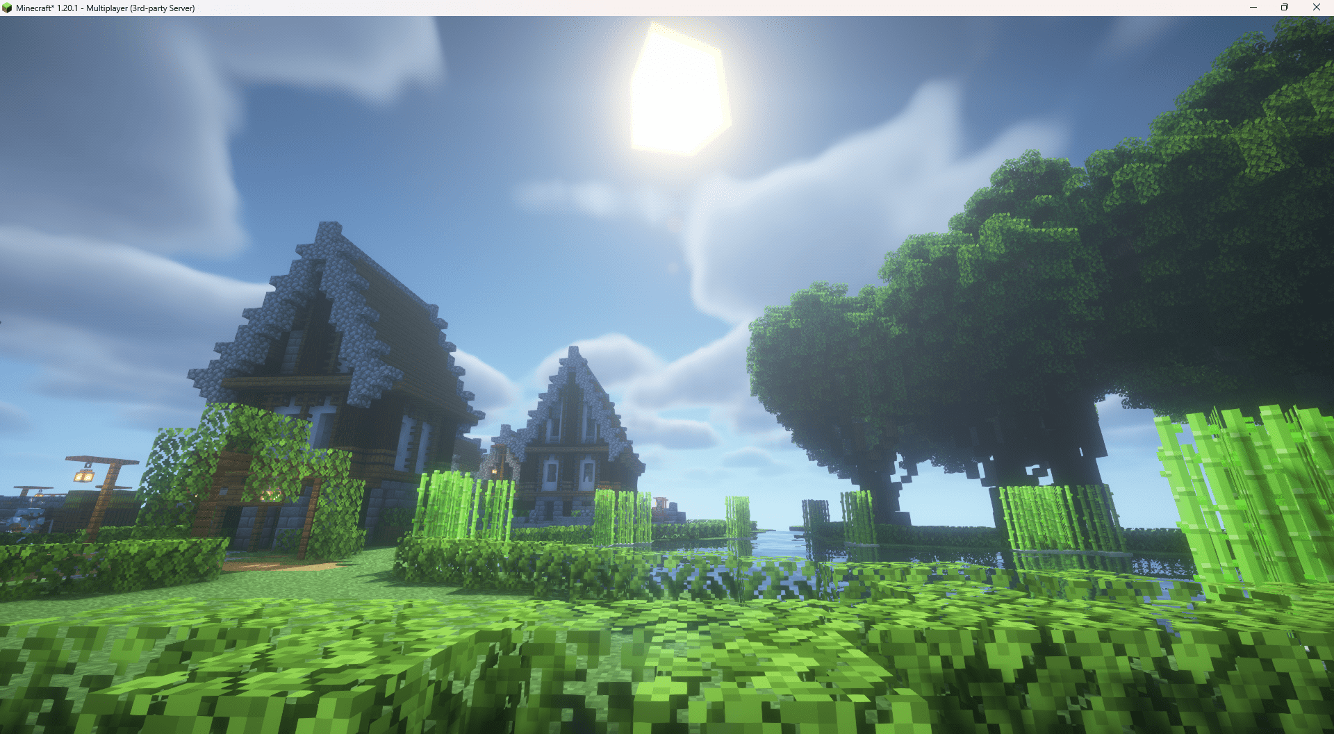 Minecraft__1.20.1_-_Multiplayer_3rd-party_Server_3_8_2024_10_23_59_PM.png