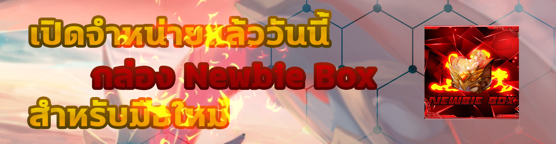 newbie.png