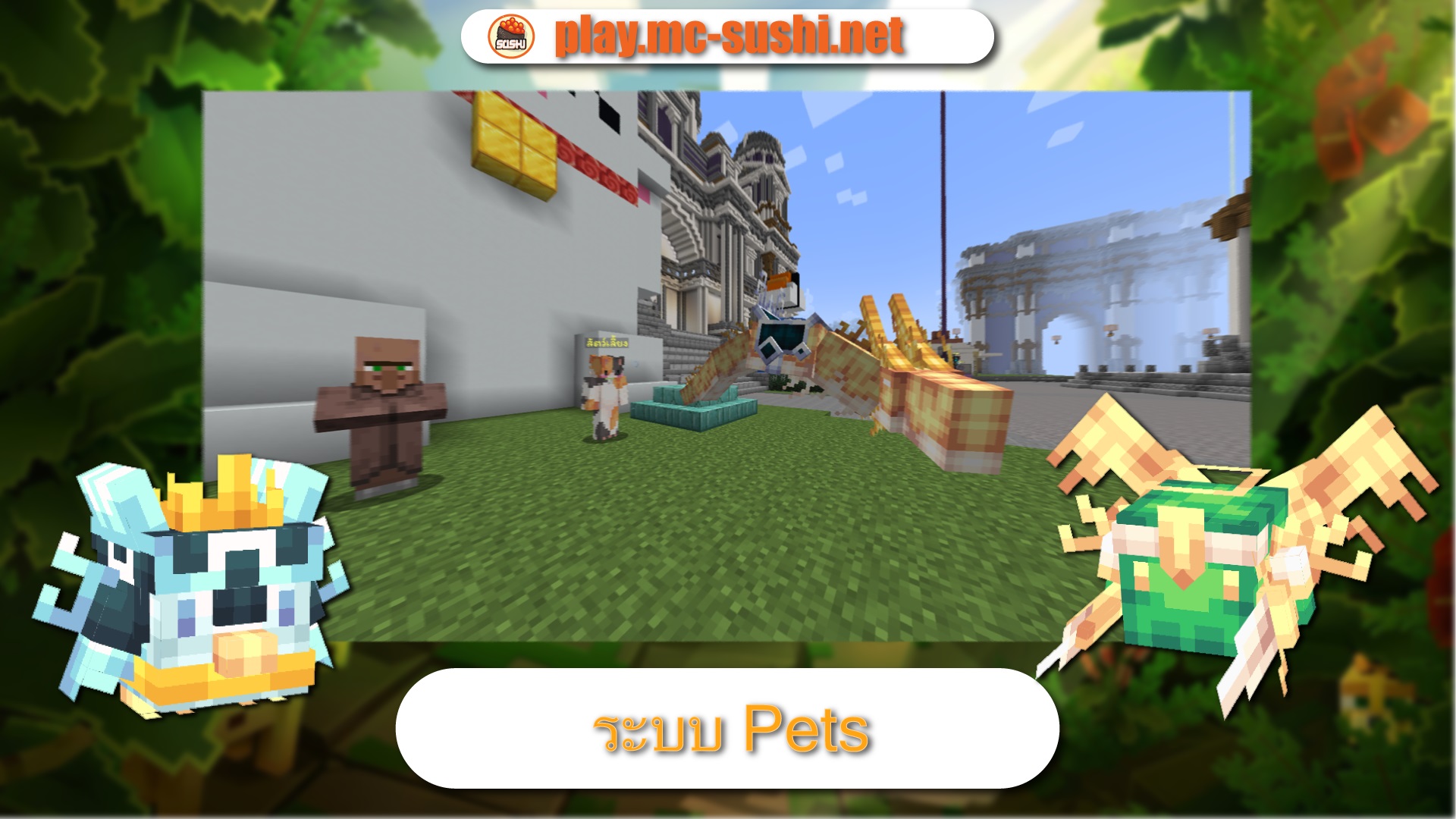 Pet.jpg
