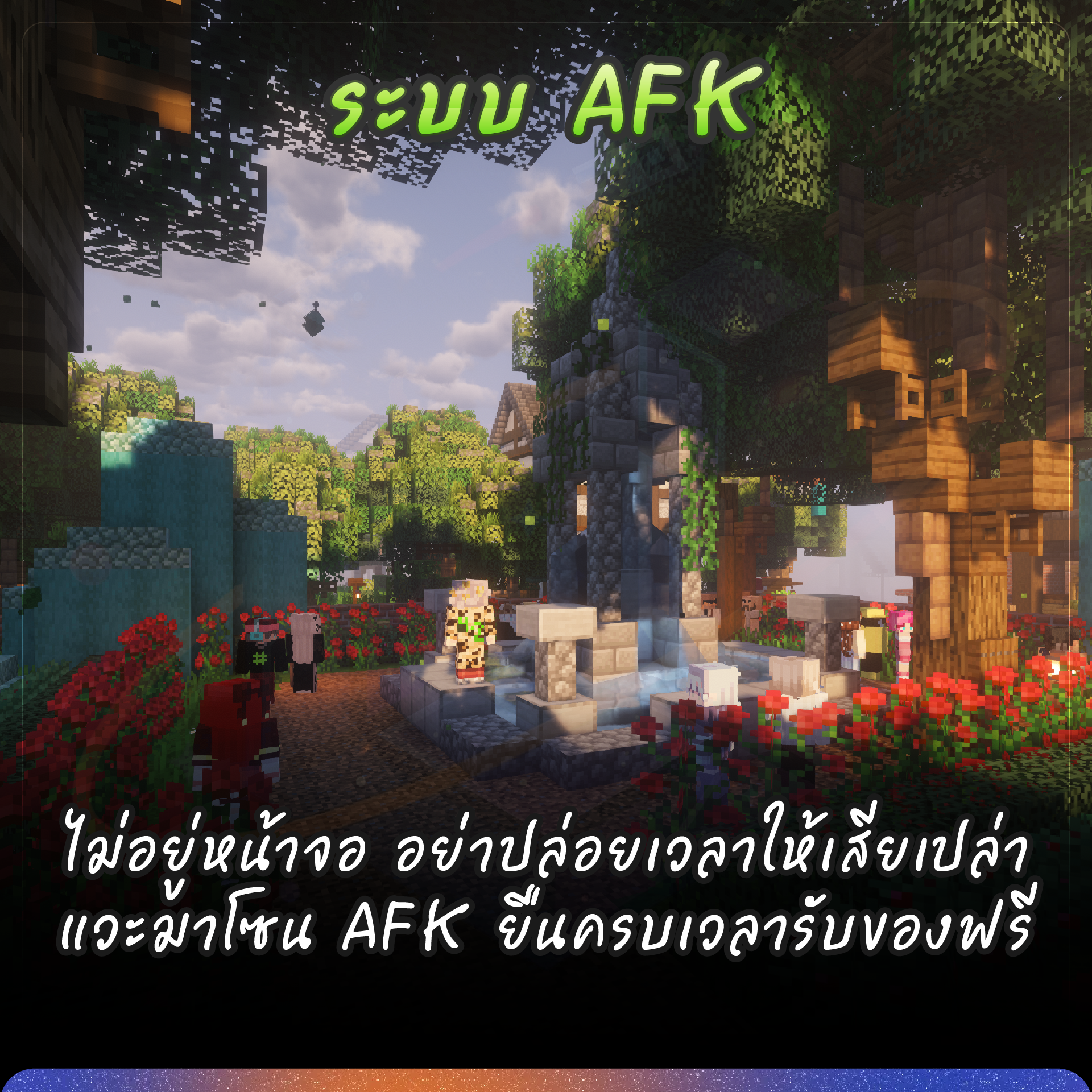 pic_12.png