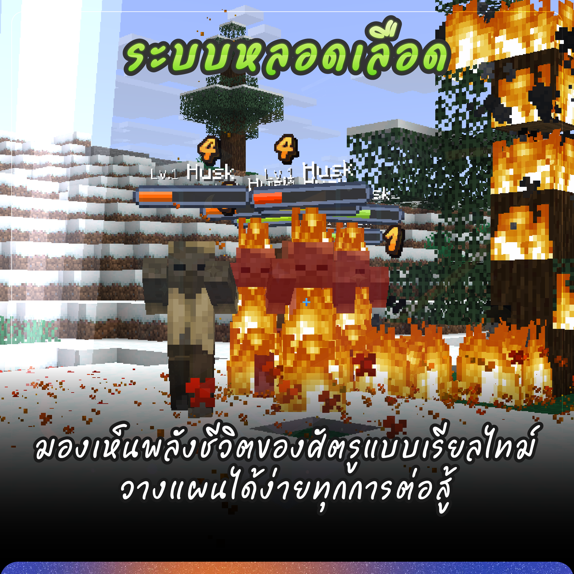 pic_7.png