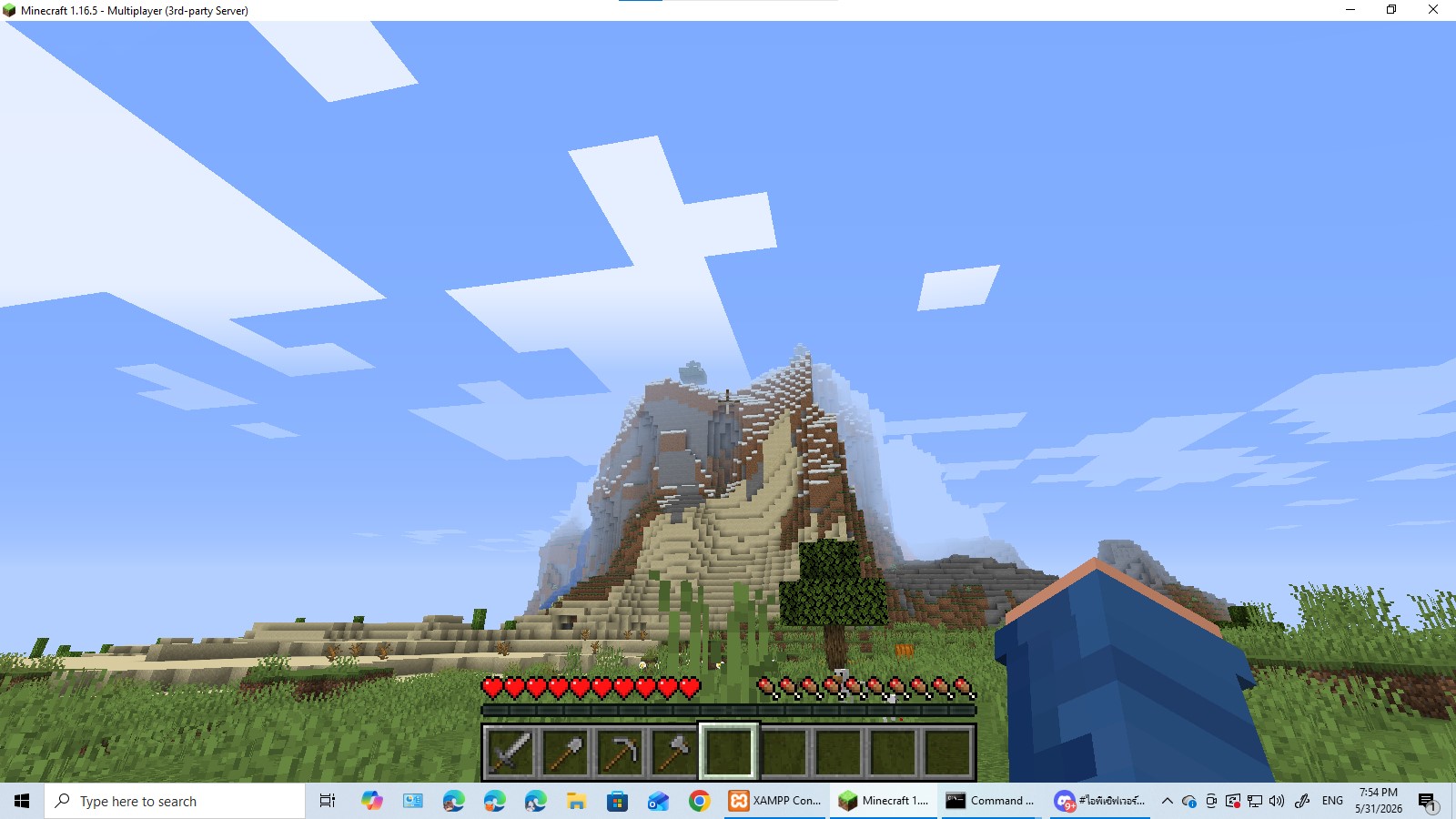 Screenshot 2026-05-31 195417.jpg