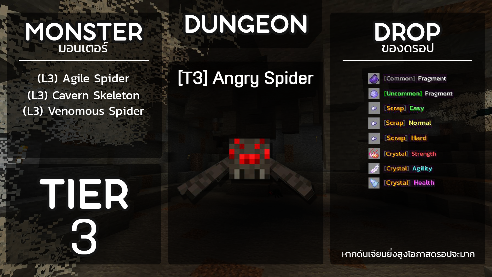 T3.png