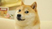 images (3).jpeg