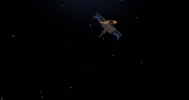 2564-07-18_06.13.39.png