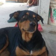 Blackkiller