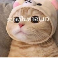 ศักดิ์ศรณ์