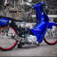 ข้าวฟ่าง