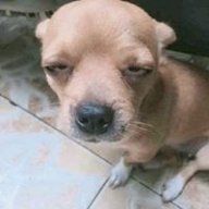 ไพรัตน์