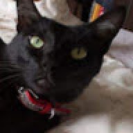 monecat bruh