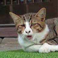 กานต์พิชชา สนิทมาก