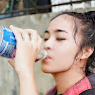 ปลาโลมา