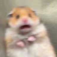 wooo