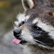 แอดมินหน้าใหม่ -///-