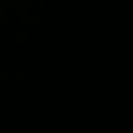 auto_2552