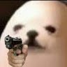 Gunkong5
