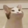 Chaokuay