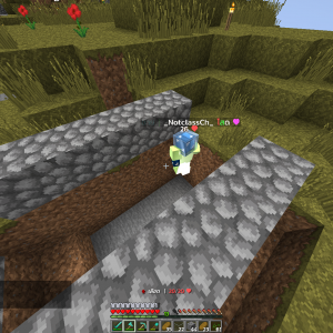 2563-05-13_12.44.55_2 - Copy.png