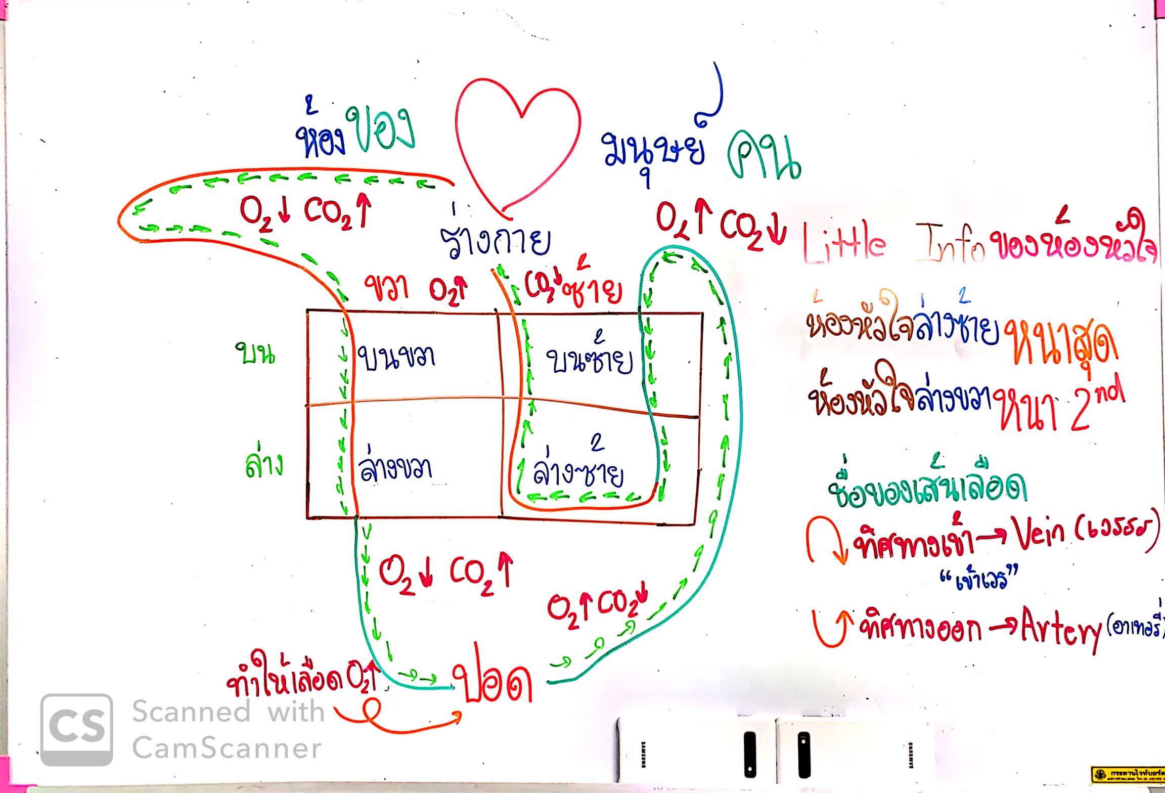 line_230896007412388.jpg