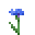 :cornflower: