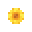 Sunflower :sunflower: :sunflower: